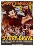 voir la fiche complète du film : Une histoire de David