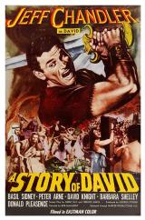voir la fiche complète du film : Une histoire de David