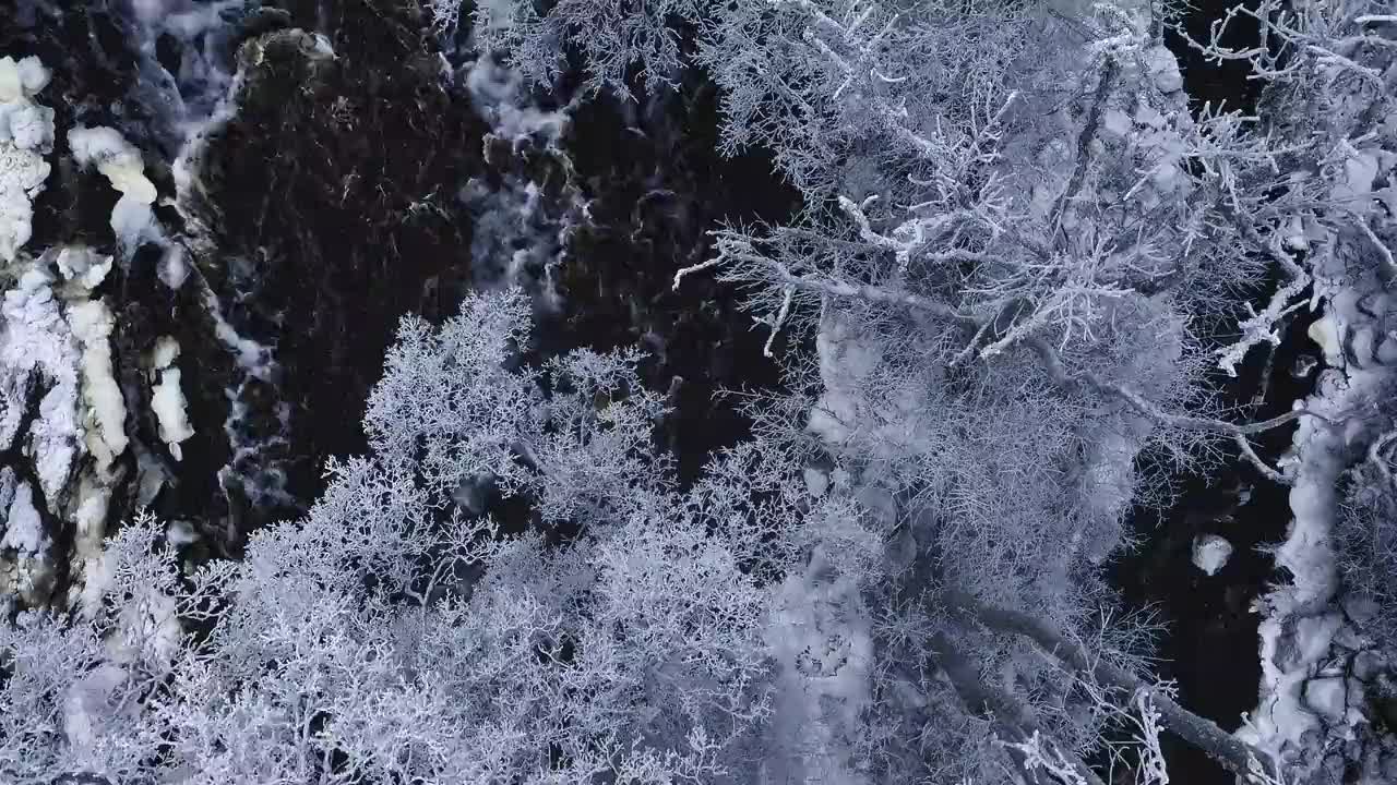 Extrait vidéo du film  Des vies en suspens