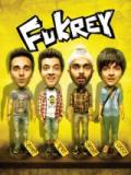 voir la fiche complète du film : Fukrey