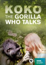 Koko : The Gorilla Who Talks