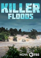 NOVA : Killer Hurricanes