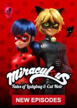 Miraculous, les aventures de ladybug et chat noir